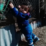 Danilo Lucero - @danilolucero03 - Instagram