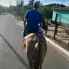 danilo_luz01 - @danilo_luz01 - TikTok