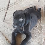 Danilo Machinez - @danilomachinez - Instagram