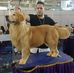 Danilo Magno Groomer - Facebook