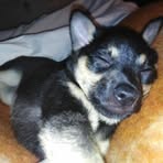 Danilo Mancinelli - Facebook