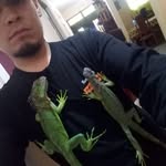 Danilo Marroquin - @danilo.marroquin.399 - Instagram