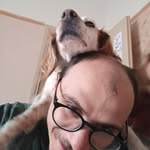 Danilo Martella - @danilo.martella - Instagram