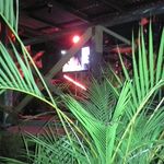 Danilo Mateo - @danilomateo3647 - Instagram