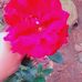 Danilo Mateo - Facebook