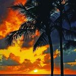 Danilo Miller - @danilo.miller.dos.santos - Instagram