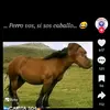 danilomolina682 - @danilomolina682 - TikTok