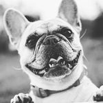 Danilo Montes Barroso - @danilmoba - Instagram