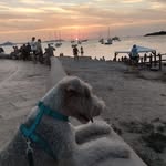 Danilo Montoya Lopez - @danilomontoya49 - Instagram