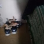 Danilo Monzon - @danilo.monzon.18 - Instagram
