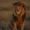 Danilomonzon - @danilomonzon29 - TikTok