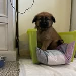 Danilo Nava - @nava.d.92 - Instagram