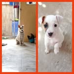Danilo Navarrete - @danilo.navarrete.980315 - Instagram