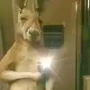 Danilo03 - @danilonavarro030 - TikTok