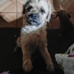 Danilo Nelson - @danilo1285463 - Instagram