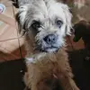 Danilo Nelson Olivar - @danilonelsonolivaresmor0 - TikTok