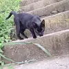 danilonelsonfonseca@gmail.com - @danilonelsonfonseca - TikTok