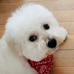 Danilo Novakovic - @novakovic_danilo_2011 - Instagram