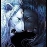 Danilo Obando - @danilo_obando_ - Instagram