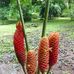 Danilo Pena - Facebook
