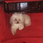 Danilo Porras Aparicio - @daniloporrasaparicio - Instagram
