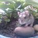 Danilo romano - Facebook