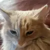 Danilo Rosales - @danilo.rosales86 - TikTok
