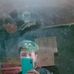 Danilo Rosales - Facebook