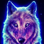 Danilo Saldaña - @danilo.saldana.98434 - Instagram