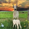 Danilo Valencia - @danilo.valencia47 - TikTok
