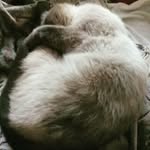 Лера - @danilova_lera_1 - Instagram