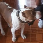 Danilo vallejo - @hip_hop_rapers - Instagram