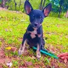 Danilo varela - @danilo_varela_21 - TikTok