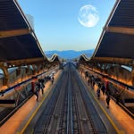 Danilo Vega - @perroloko2971 - Instagram