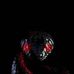 Danilo Vera - Facebook