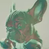 Danilo Vergara - @danilo.vergara92 - TikTok