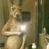 Danilo villa - @isabel.villa.la.t - TikTok
