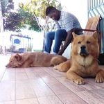 Danilo Xavier - @danilo_xavier_gringo - Instagram