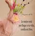 Danis Corrales - Facebook