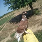 Danish Aman - Facebook