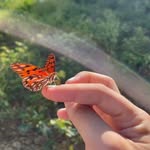 Danitza Escalante - @dani_tza766 - Instagram