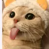 danitza valdivia - @danitzavaldivia5 - TikTok