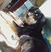 Dann Black - Facebook