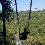 Dann Miller - @danydann380 - Instagram