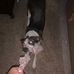 Danna K Edwards - Facebook
