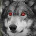 Danna Ferrin - Facebook