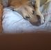 Dana Johnston - Facebook