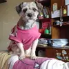 dannakeith379 - @dannakeith379 - TikTok
