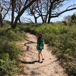 Danna Morris Knowlton - @dmk66 - Instagram