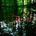 Danna Pearson - Facebook